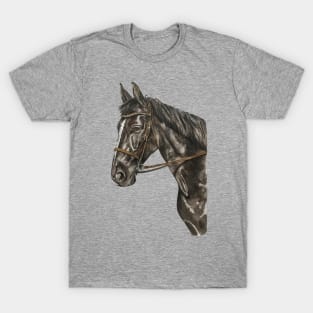 Beautiful Black Horse Wearing Head Halter T-Shirt